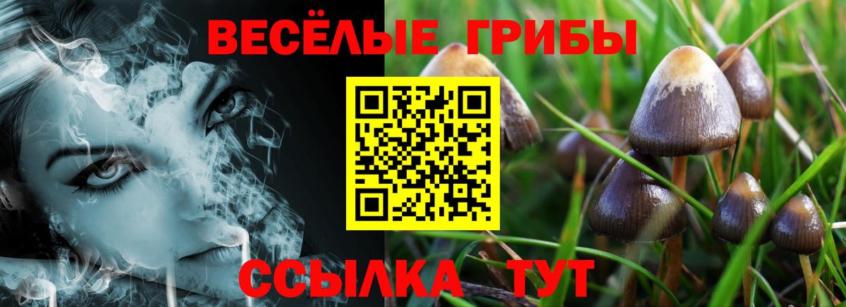 Галлюциногенные грибы Cubensis  Вход с VPN  купить наркотик  Рыбинск  Галлюциногенные грибы Cubensis 